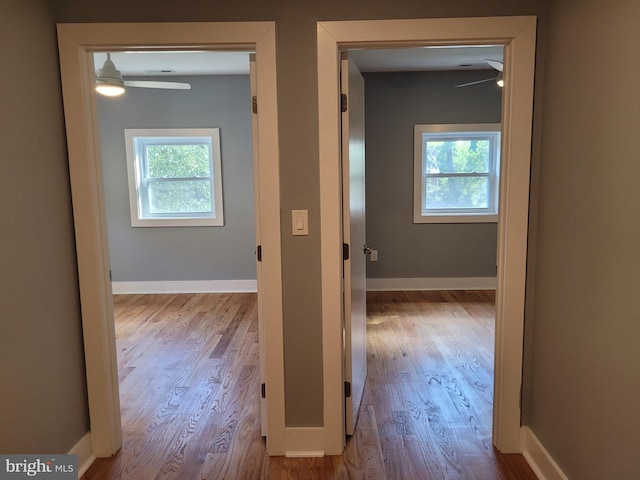 corridor with light wood-type flooring and plenty of natural light