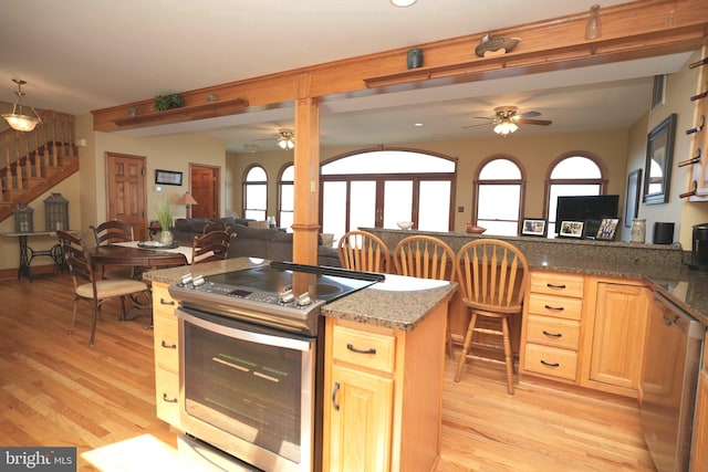 kitchen with light brown cabinetry, light wood-type flooring, stainless steel appliances, and plenty of natural light