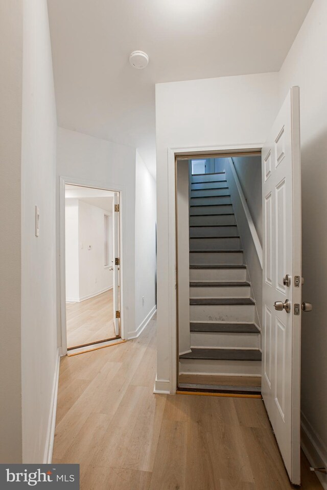 stairs with hardwood / wood-style flooring