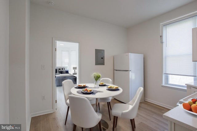 dining area with light wood-type flooring and electric panel