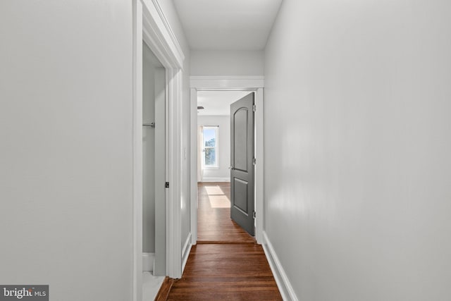 hallway with dark wood-type flooring