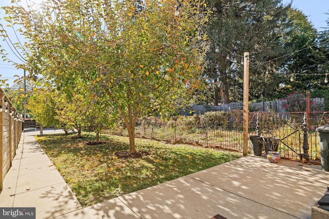 view of yard featuring a patio