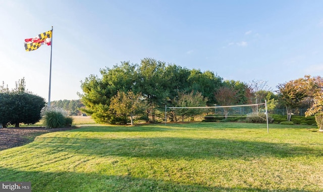 view of community featuring a lawn and volleyball court