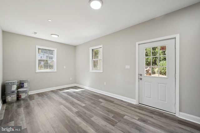 entrance foyer featuring hardwood / wood-style flooring