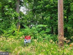 5805 Rowland Hill Rd, Cascade MD, 21719 land for sale