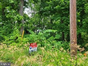 5805 Rowland Hill Rd, Cascade MD, 21719 land for sale