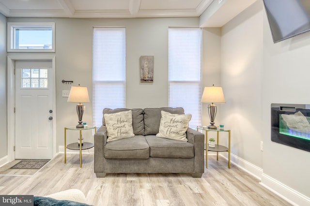 living room featuring ornamental molding and light hardwood / wood-style floors