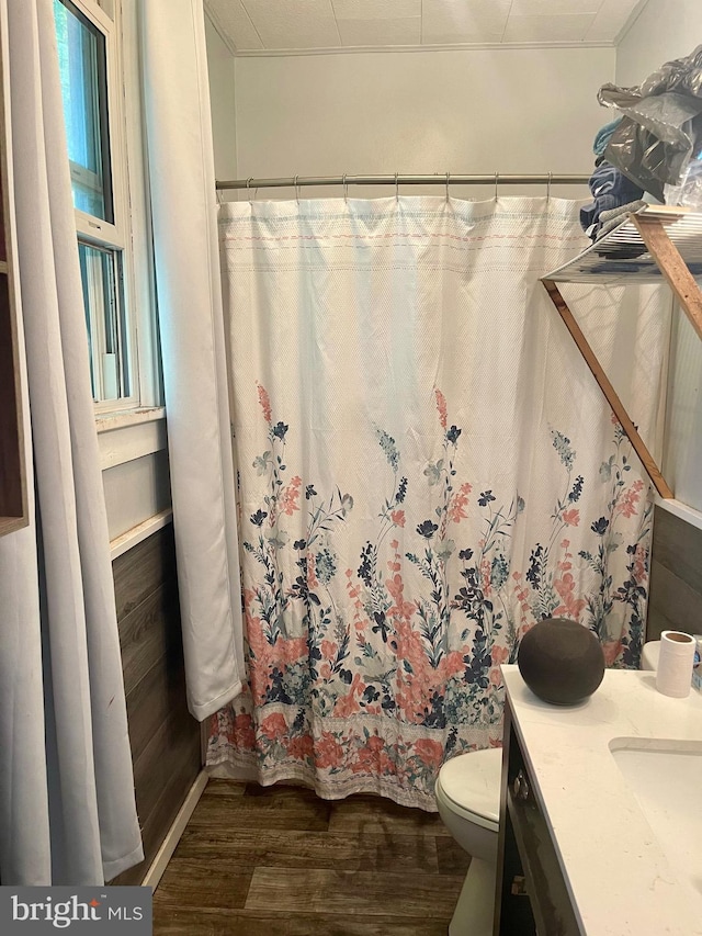 bathroom with vanity, hardwood / wood-style floors, and toilet