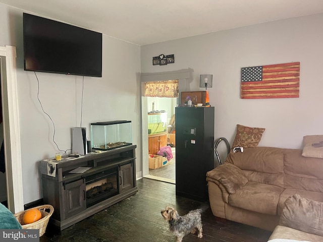 living room featuring dark hardwood / wood-style floors