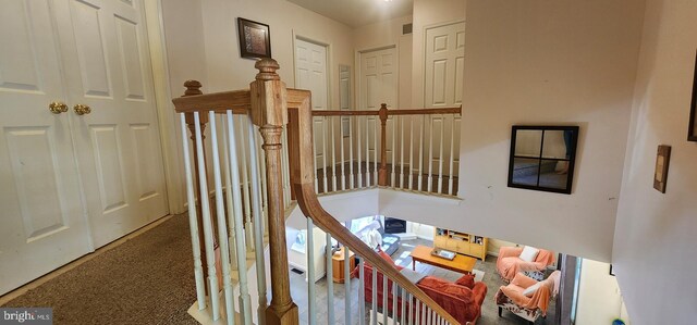 staircase featuring carpet