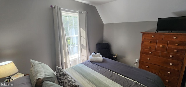 bedroom featuring lofted ceiling