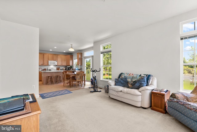 carpeted living room featuring a wealth of natural light