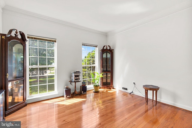 sitting room with light wood-type flooring and crown molding