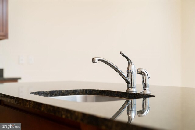 interior details featuring a sink