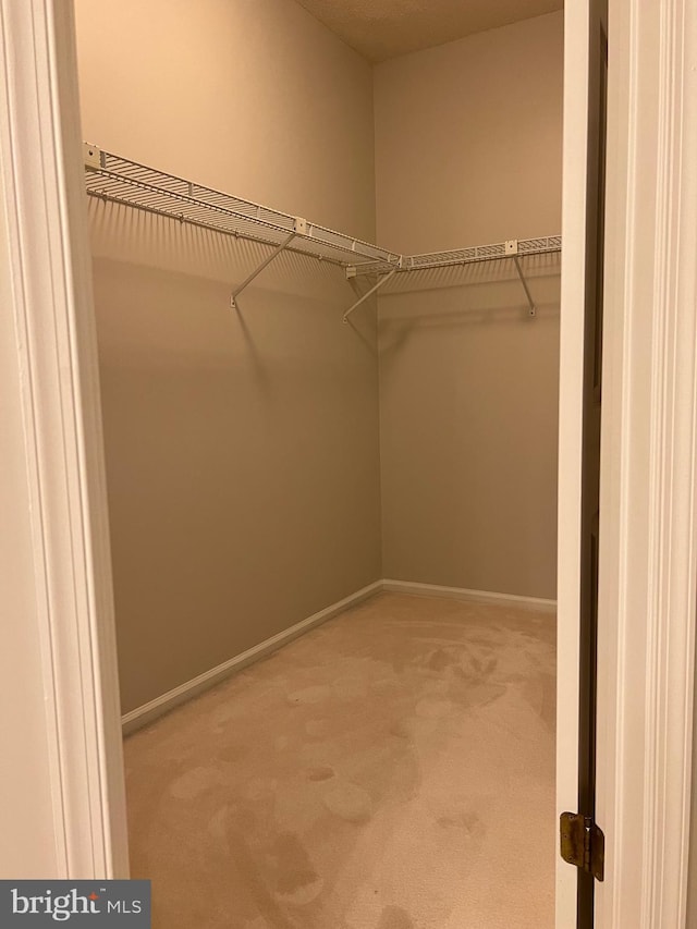 spacious closet with light colored carpet