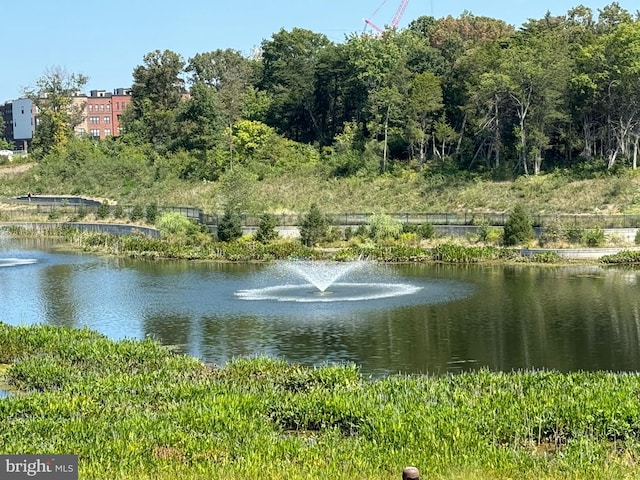 property view of water