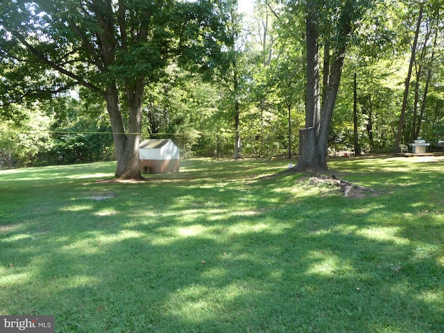 view of yard with a storage unit