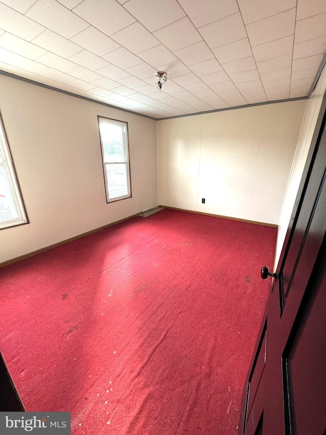 empty room with carpet flooring