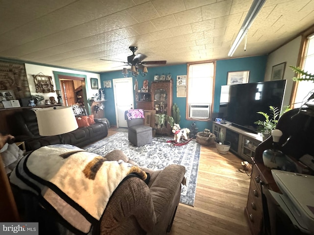 living room with ceiling fan and wood-type flooring