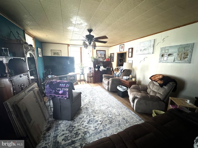 living room with ceiling fan and wood-type flooring