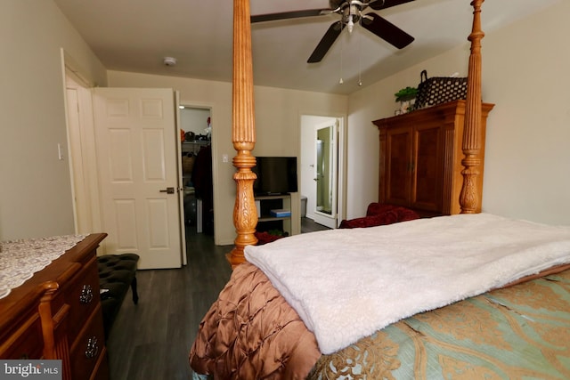 bedroom with a walk in closet, ceiling fan, dark hardwood / wood-style flooring, and a closet