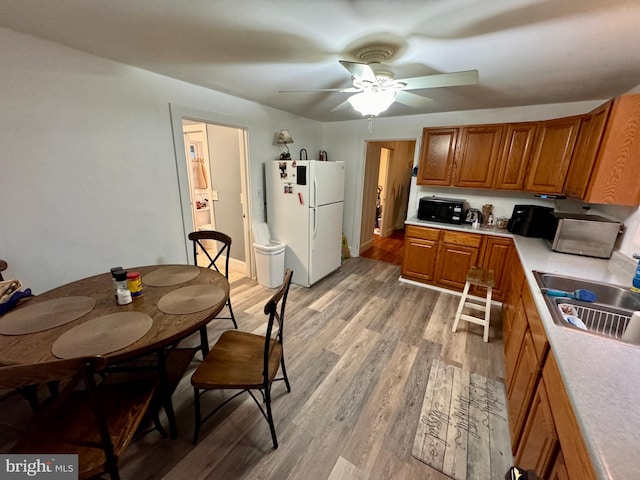 kitchen with ceiling fan, sink, light wood-type flooring, and white fridge