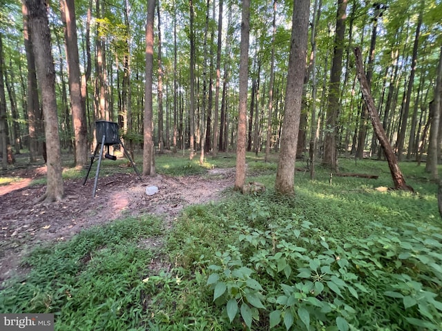 view of local wilderness