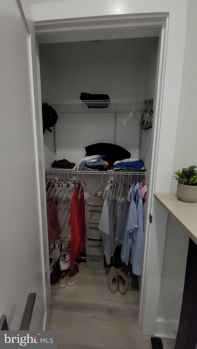 view of closet