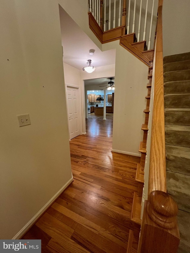 hallway featuring hardwood / wood-style floors