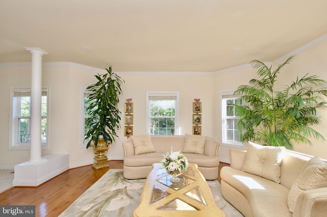 living room with hardwood / wood-style flooring, ornate columns, and a wealth of natural light