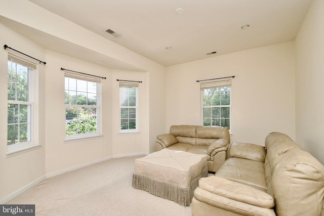 view of carpeted living room