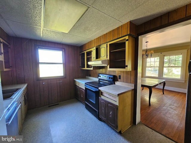 kitchen with light hardwood / wood-style flooring, wood walls, black / electric stove, and plenty of natural light