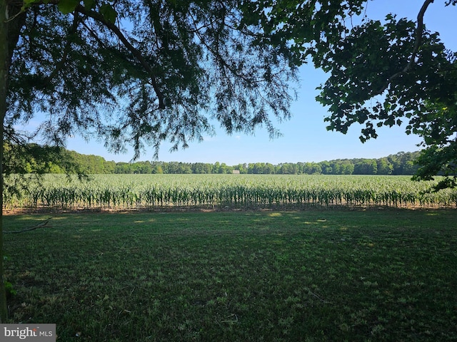 view of yard with a rural view