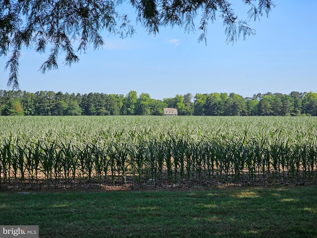 view of yard with a rural view