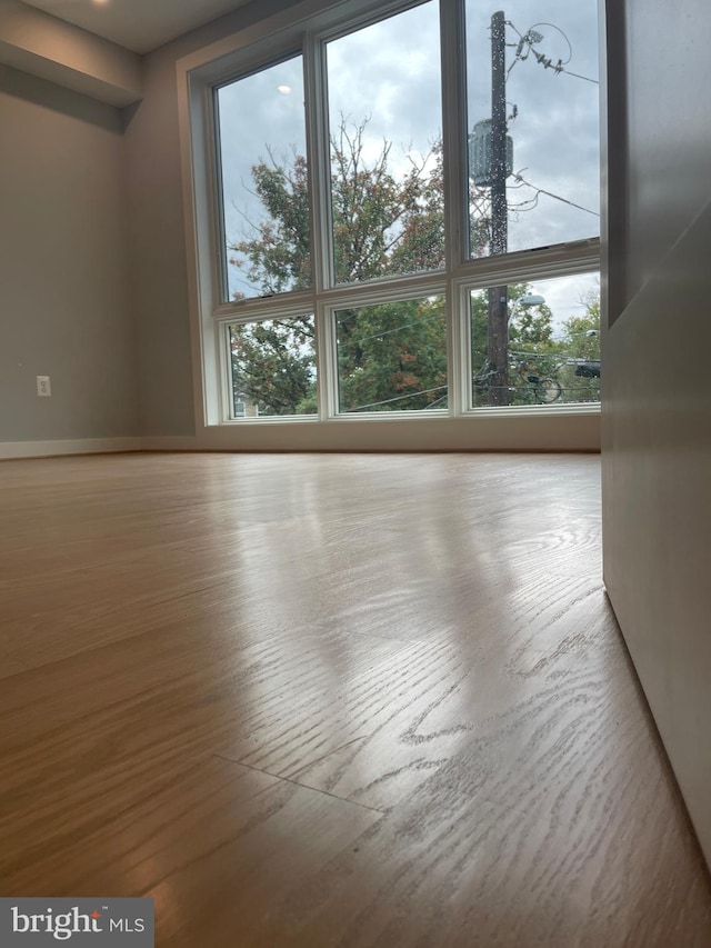 spare room featuring a wealth of natural light and light hardwood / wood-style flooring