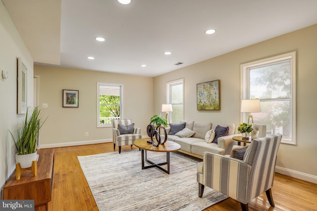 living room featuring light hardwood / wood-style flooring