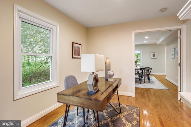 office space featuring plenty of natural light and light hardwood / wood-style floors