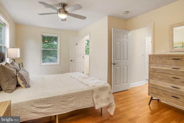 bedroom with light hardwood / wood-style flooring, ceiling fan, and multiple windows