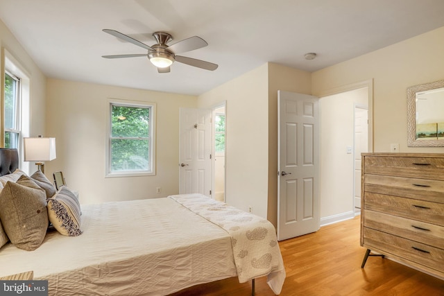 bedroom featuring light wood-type flooring, multiple windows, and ceiling fan