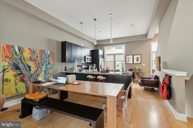 dining area with light hardwood / wood-style flooring