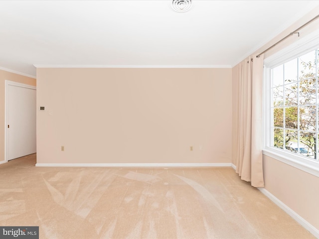 carpeted empty room featuring crown molding and plenty of natural light