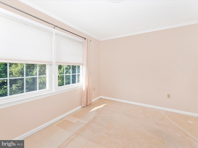 carpeted spare room with crown molding