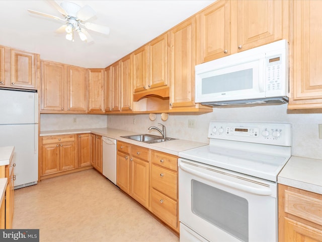 kitchen featuring white appliances, sink, and ceiling fan