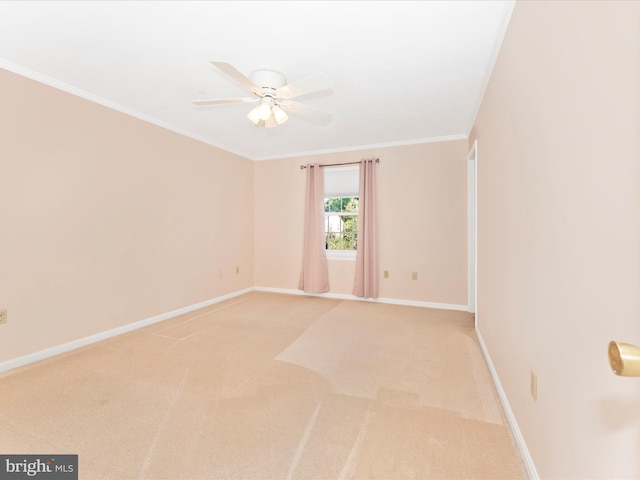 unfurnished room with ornamental molding, ceiling fan, and carpet