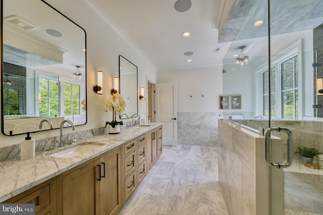 bathroom featuring a healthy amount of sunlight, a shower with shower door, ornamental molding, and vanity