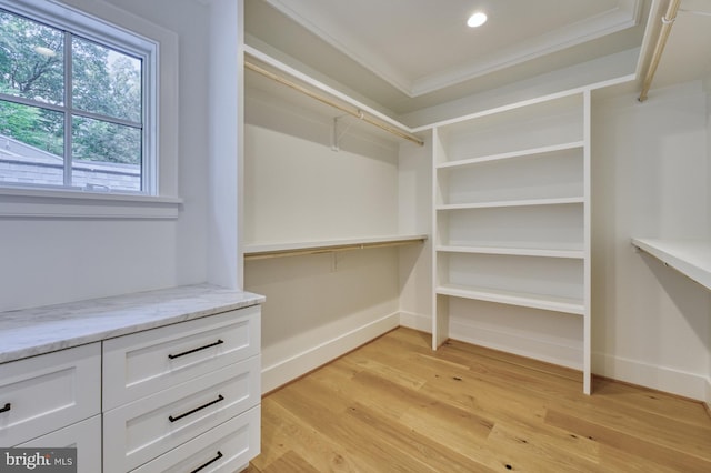 spacious closet with light wood-type flooring