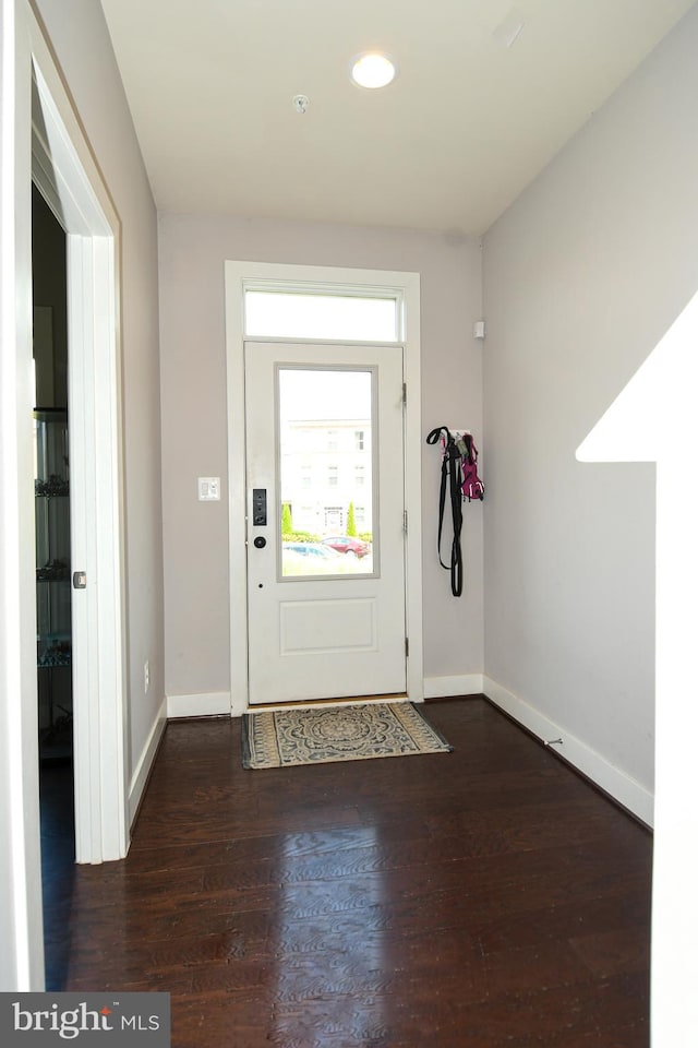 foyer entrance featuring dark hardwood / wood-style floors