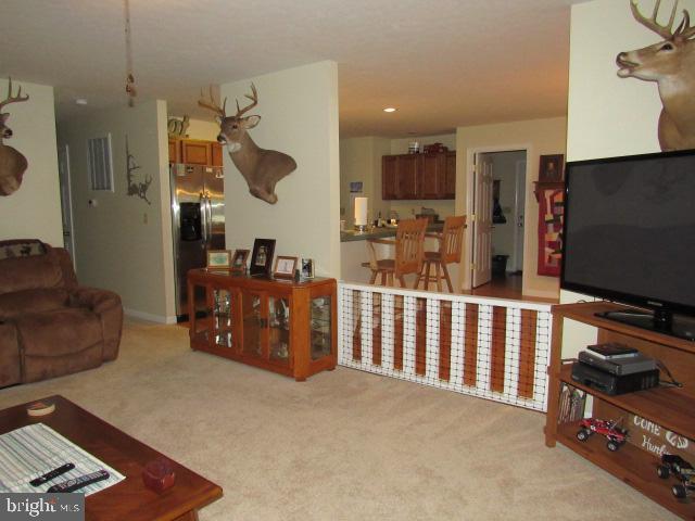 living room featuring light colored carpet