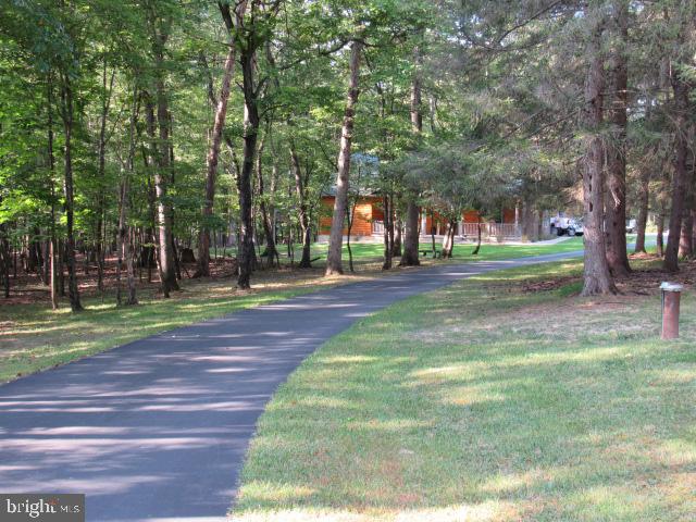 view of property's community with a yard