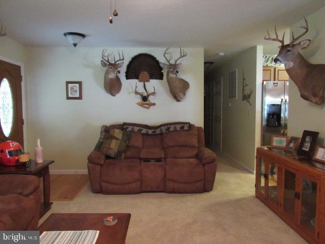 living room with light carpet